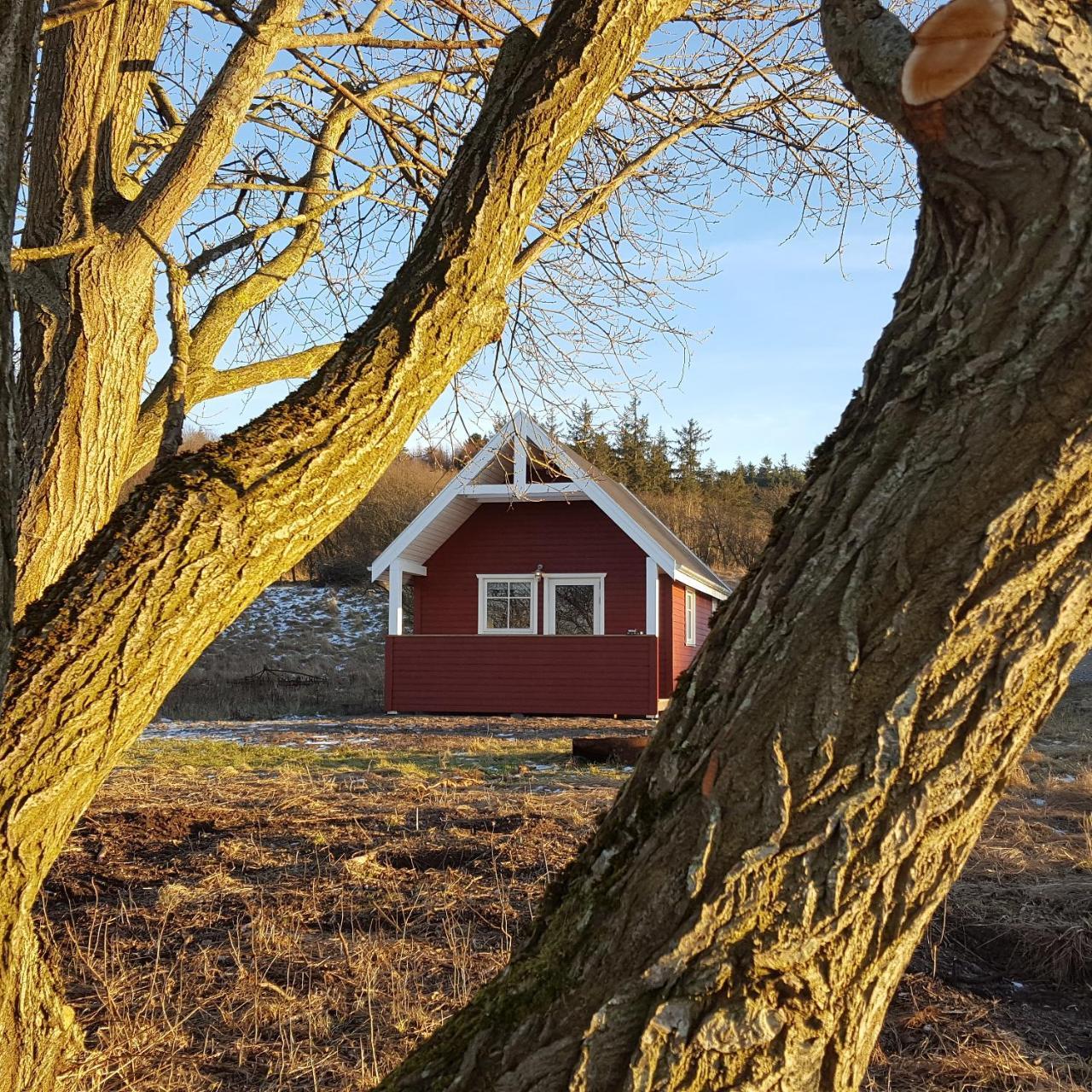 Hjarbaek Fjord Camping & Cottages Viborg Exterior photo